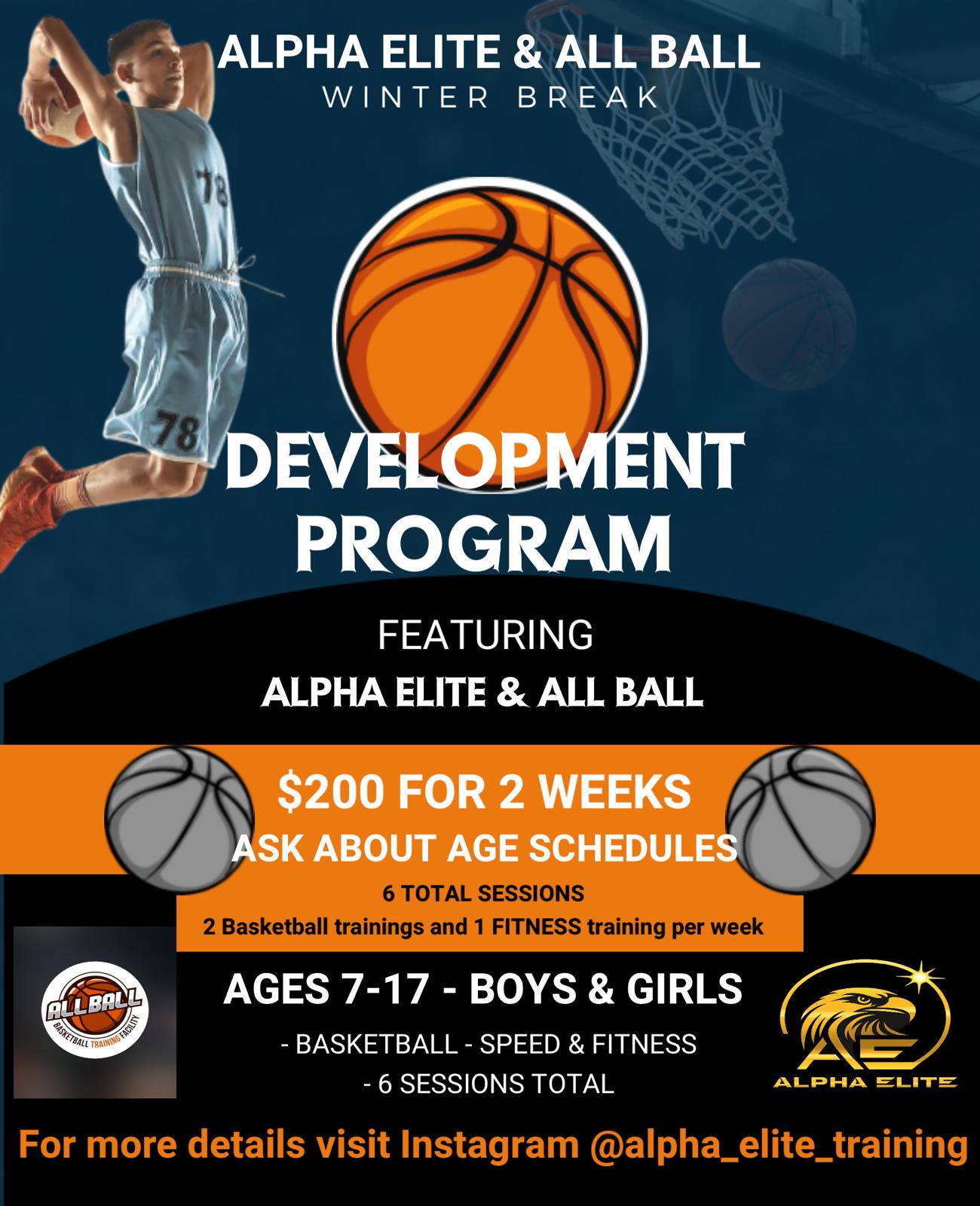 Alpha Elite Holiday 2-Week Package basketball and training flyer 2025